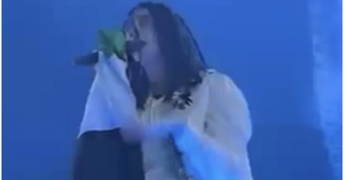 dicono che gli artisti non devono fare politica ghali canta avvolto nella bandiera della palestina al red valley festival