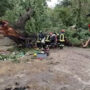 Copertina di Un albero cade su un’auto nel Materano: morto un ragazzo. Altri tre feriti