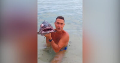 Copertina di “Ecco la loro faccia alle prossime elezioni”: Vannacci sbeffeggia la sinistra tenendo un pesce in mano