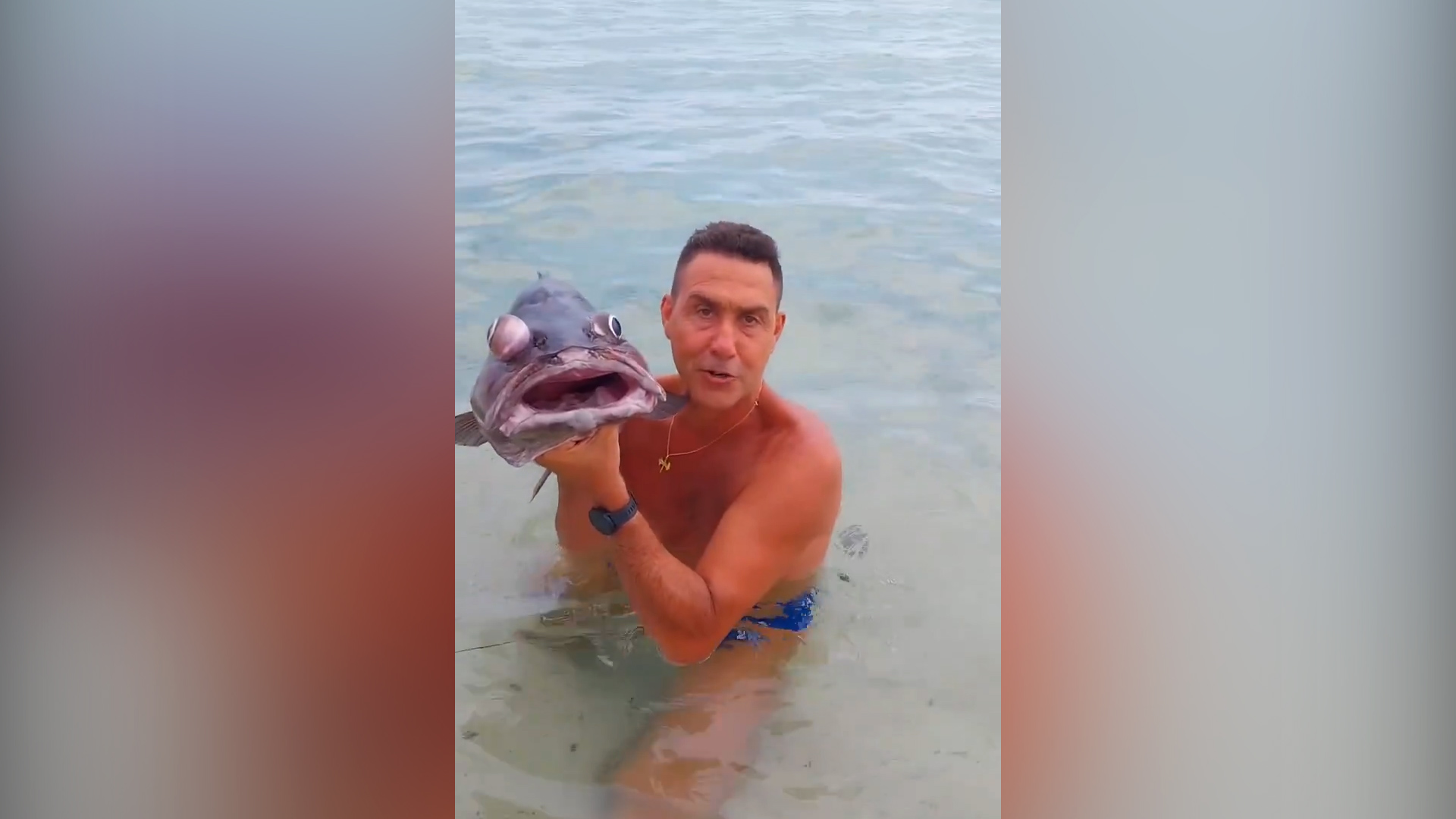 “Ecco la loro faccia alle prossime elezioni”: Vannacci sbeffeggia la sinistra tenendo un pesce in mano