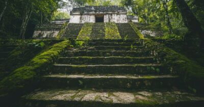 Copertina di La “foresta Maya” sarà tutelata in centro America