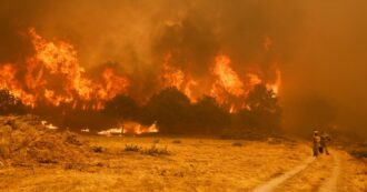 Copertina di Clima in Europa, ondate di calore record anche nelle regioni più fredde. Nel 2025 in fumo un milione di ettari di bosco