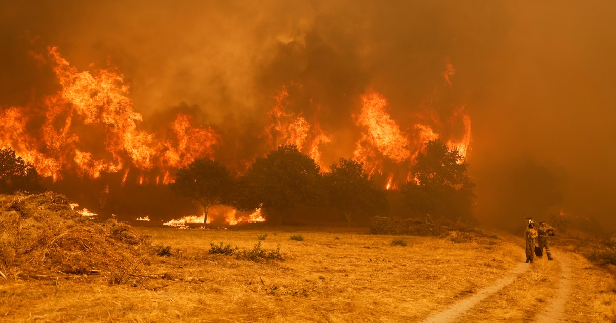 Incendi in Spagna: 115mila ettari bruciati, 3 morti e migliaia di sfollati. Sanchez: “Serve un patto non ideologico contro la crisi climatica” Incendi in Spagna: 115mila ettari bruciati, 3 morti e migliaia di sfollati. Sanchez: “Serve un patto non ideologico contro la crisi climatica”