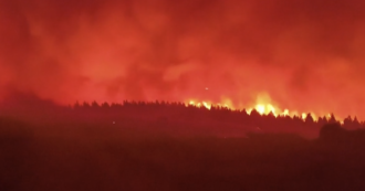 Spagna, roghi fuori controllo nel nordovest: devastati 115 mila ettari di boschi