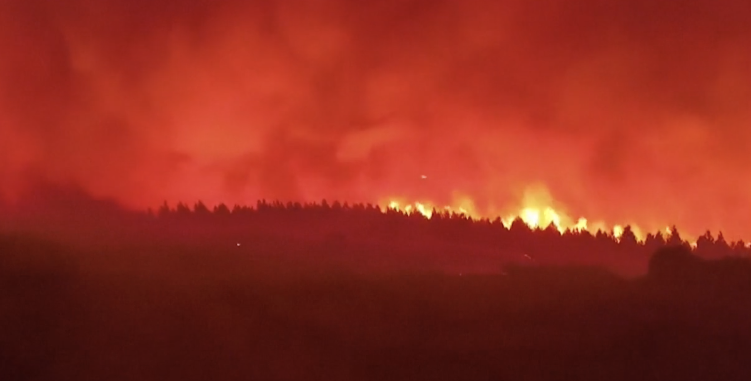 spagna roghi fuori controllo nel nordovest devastati 115 mila ettari di boschi