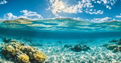 Copertina di Il Mediterraneo che brucia: incubo 30 gradi, sparite 50 specie marine