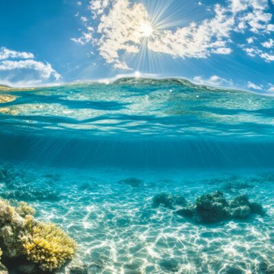Copertina di Il Mediterraneo che brucia: incubo 30 gradi, sparite 50 specie marine