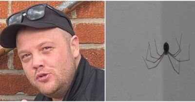 Copertina di “Faceva fatica a respirare, poi è collassato ed è morto dopo il morso di un ragno. Era fissato, ne aveva comprati cinque”: la storia di Mark Anthony Kirby