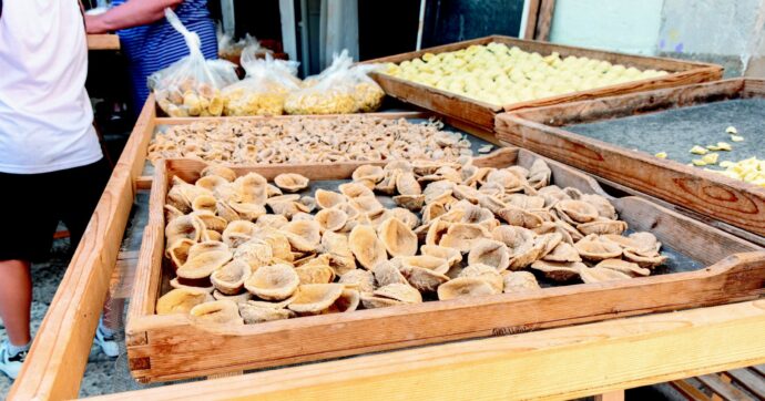 Bari, un nuovo round  di guerra orecchiette