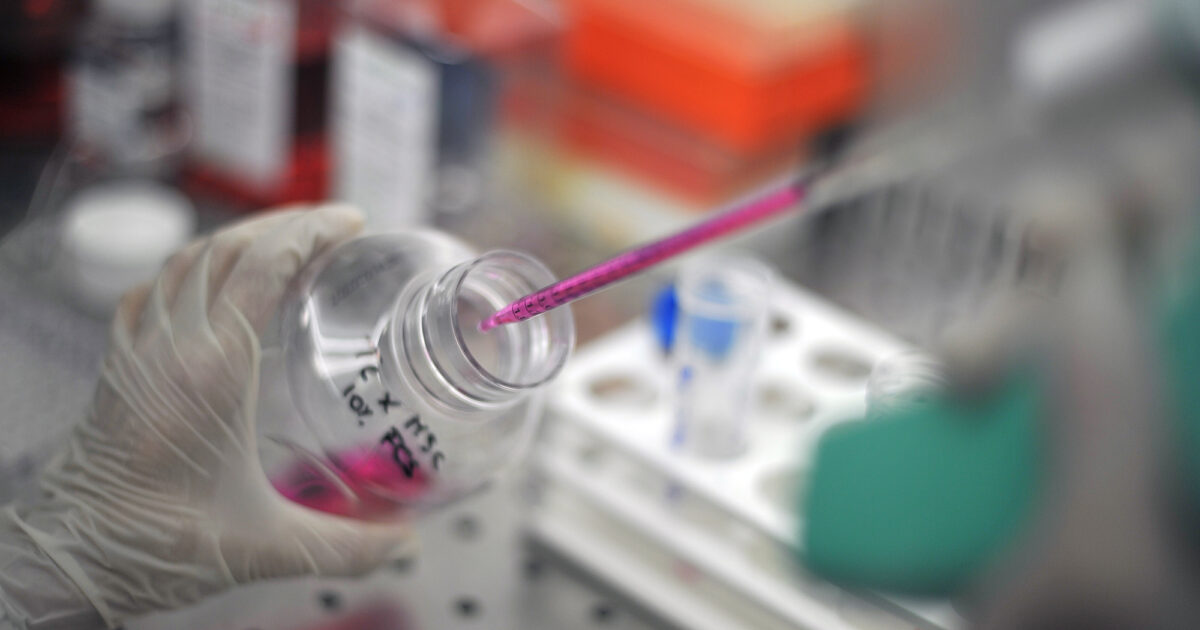 Scoperto l’innesco di una rara malattia infantile (Savi), lo studio degli scienziati sulla proteina Sting