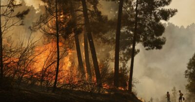 Copertina di Incendi in Spagna, quinta vittima. Sánchez annuncia patto di Stato sui cambiamenti climatici