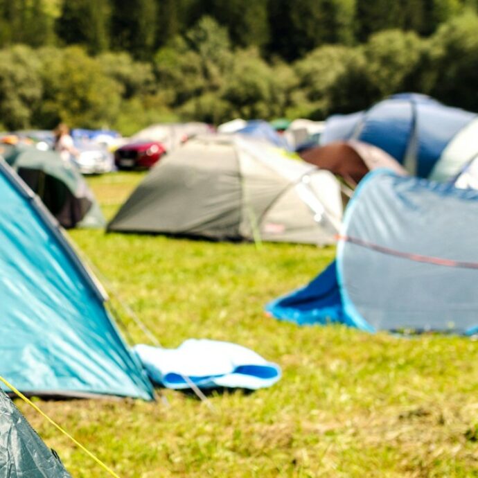 Positivo alla peste dopo essere stato in campeggio: “Forse morso da una pulce infetta”. Quali sono i sintomi a cui fare attenzione