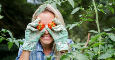 Copertina di Due manuali per diventare giardinieri in erba (in città)