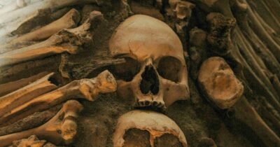 Copertina di Risolto il mistero degli scheletri ritrovati in una grotta a Cecchignola: “Quelle ossa non possono essere di Emanuela Orlandi”