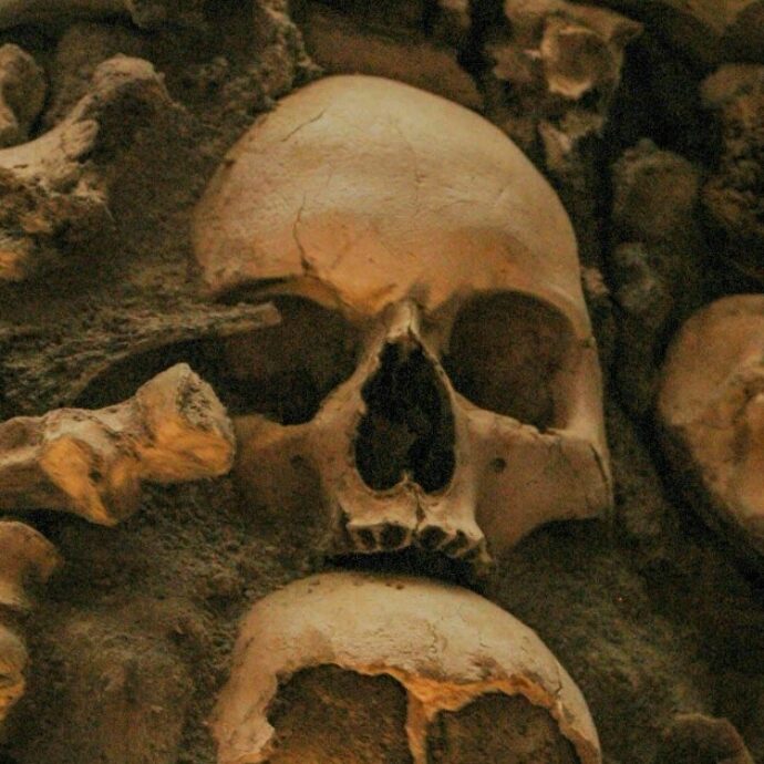 “Sono ossa di bambini”: la scoperta choc durante i lavori di ristrutturazione della casa