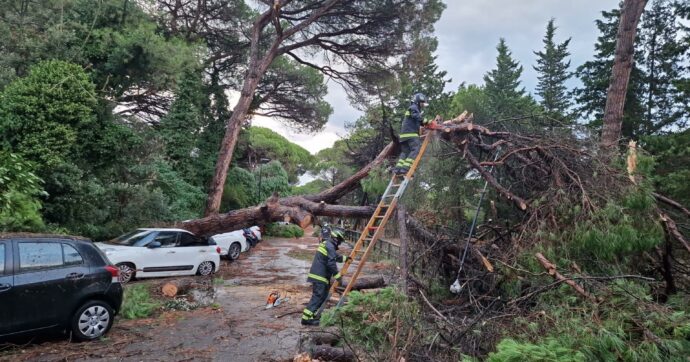 “Il super El Niño è già presente e si intensificherà rapidamente, aumenta la probabilità di fenomeni meteorologici estremi”: l’allarme dell’Onu