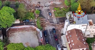 Copertina di Alberi abbattuti e allagamenti, piogge intense e raffiche di vento nella riviera Romagnola: le immagini dall’alto