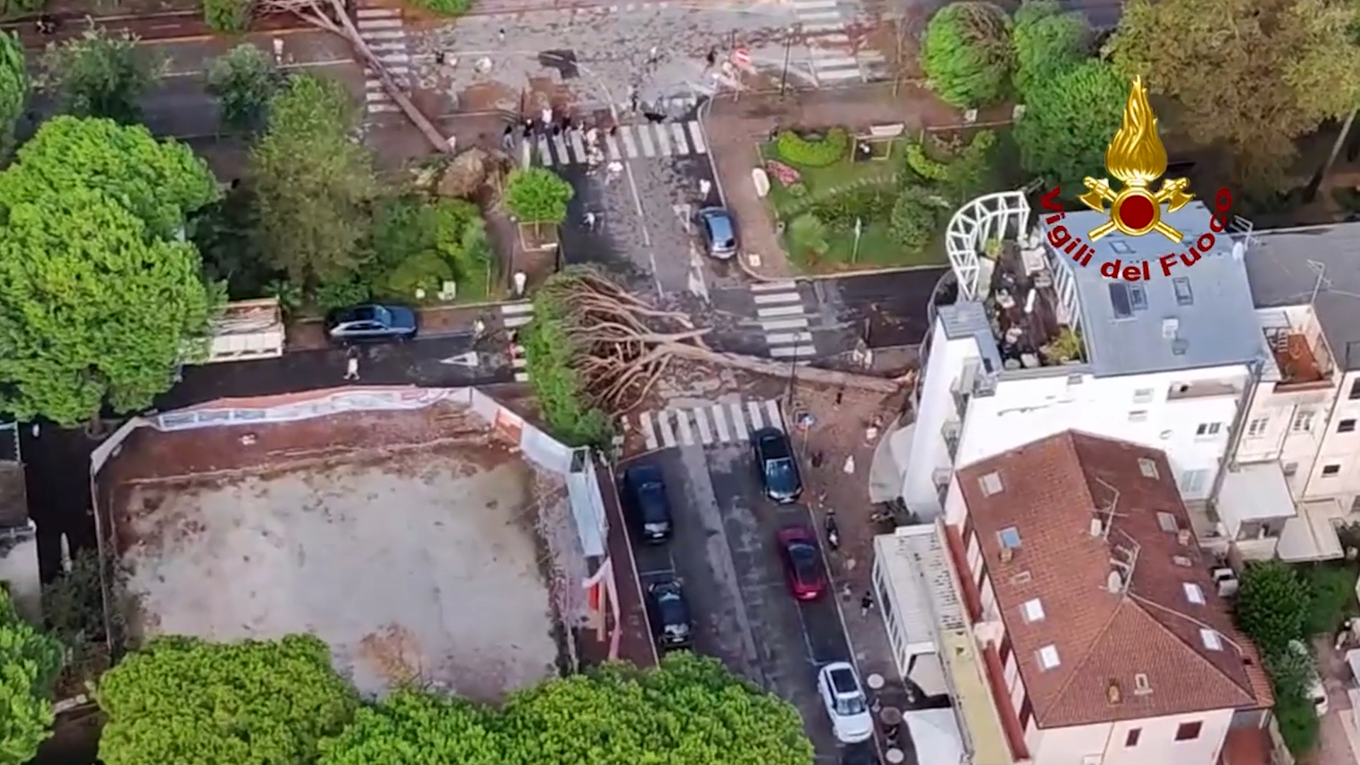 Alberi abbattuti e allagamenti, piogge intense e raffiche di vento nella riviera Romagnola: le immagini dall’alto Alberi abbattuti e allagamenti, piogge intense e raffiche di vento nella riviera Romagnola: le immagini dall’alto