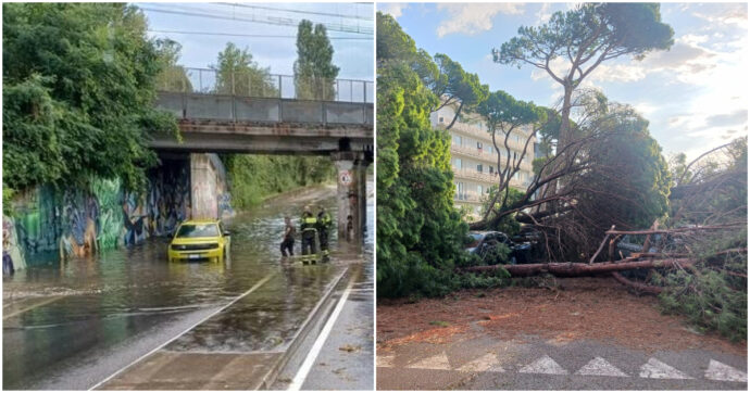 Romagna, temporale con raffiche oltre i 120 all’ora. A Milano Marittima caduti 265 alberi, duecento utenze senz’acqua