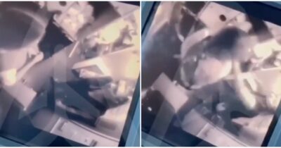 Copertina di “Ha preso a schiaffi e pugni le hostess”: passeggera innesca una rissa choc sull’aereo