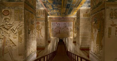 Copertina di Il pollice verde degli antichi egizi: dai giardini domestici a quelli nel deserto, ecco perché erano così bravi