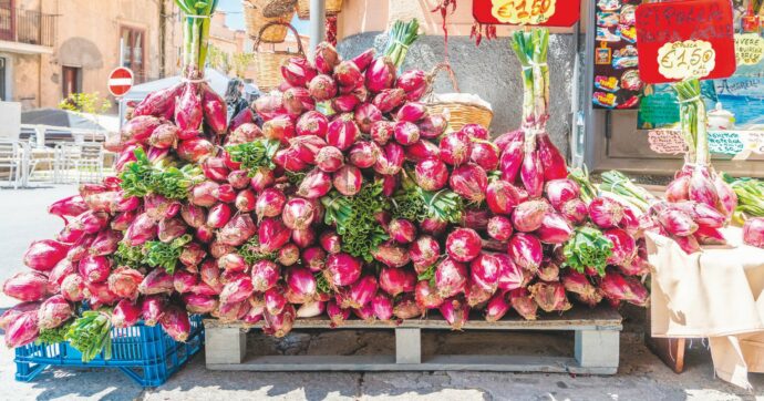 La cipolla di Tropea nel mirino: “I liquami e i pesticidi nel mare”