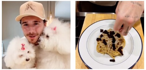 il tuo guanciale 232 talmente bruciato che sembra carbone chiama tuo padre stroncata sui social la carbonara preparata da brooklyn beckham video