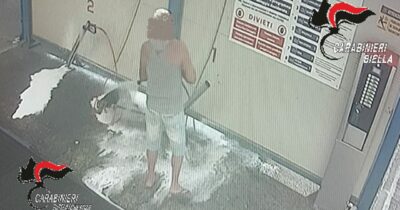Copertina di Lava il cane nell’autolavaggio a Biella: denunciato un uomo di 57 anni