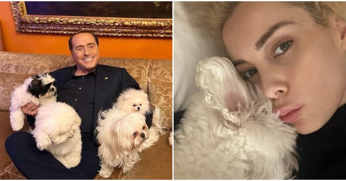 “Se imparassimo ad amare gli animali come meritano, saremmo molto vicini a Dio”: Marta Fascina ricorda Silvio Berlusconi e il suo amore per i cani su Instagram