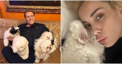 Copertina di “Se imparassimo ad amare gli animali come meritano, saremmo molto vicini a Dio”: Marta Fascina ricorda Silvio Berlusconi e il suo amore per i cani su Instagram