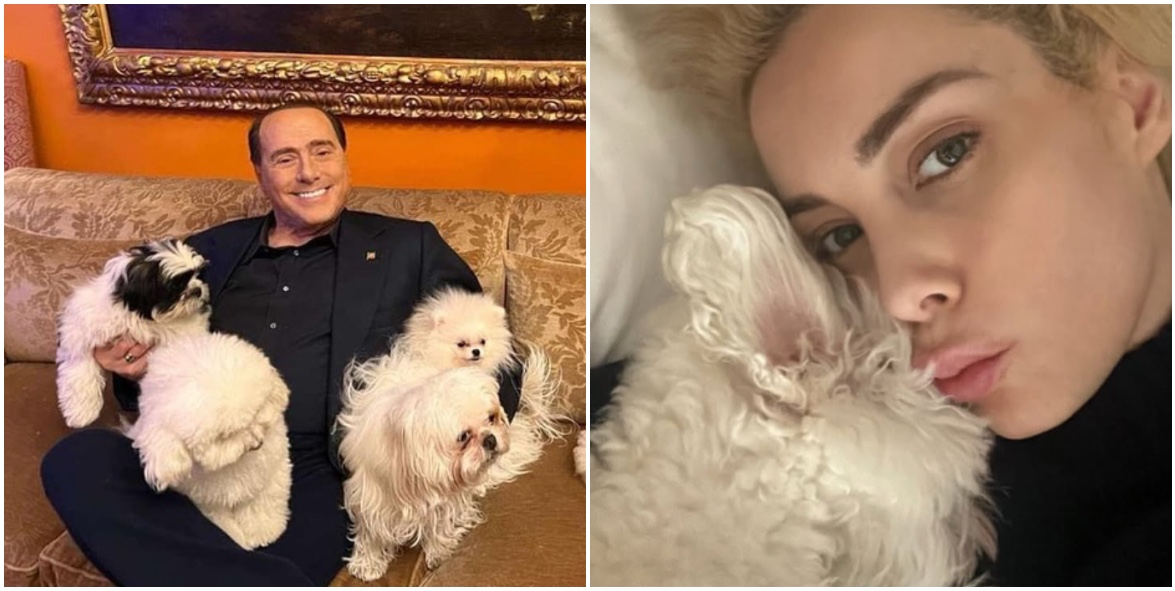 se imparassimo ad amare gli animali come meritano saremmo molto vicini a dio marta fascina ricorda silvio berlusconi e il suo amore per i cani su instagram