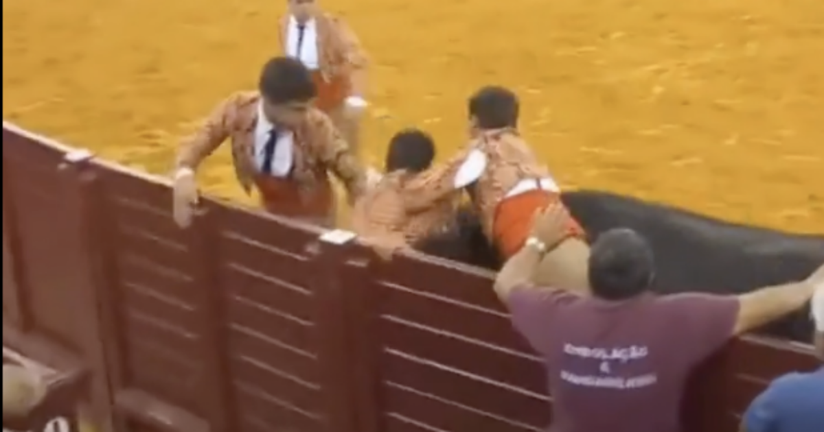 Torero ucciso dal toro durante la corrida, uno spettatore si sente male e muore: doppio tragico evento