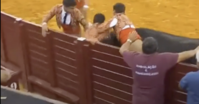 Copertina di Torero ucciso dal toro durante la corrida, uno spettatore si sente male e muore: doppio tragico evento