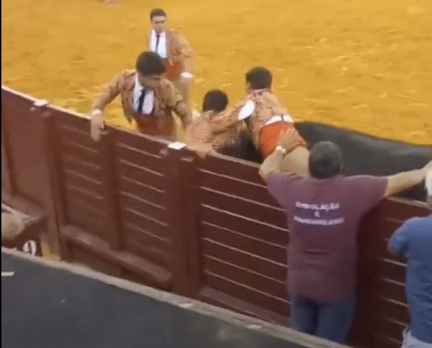 torero ucciso dal toro durante la corrida uno spettatore si sente male e muore doppio tragico evento