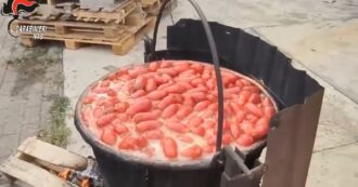 Copertina di Bologna, conserve e succhi di frutta a rischio botulino: maxi-sequestro in un’azienda agricola – Video