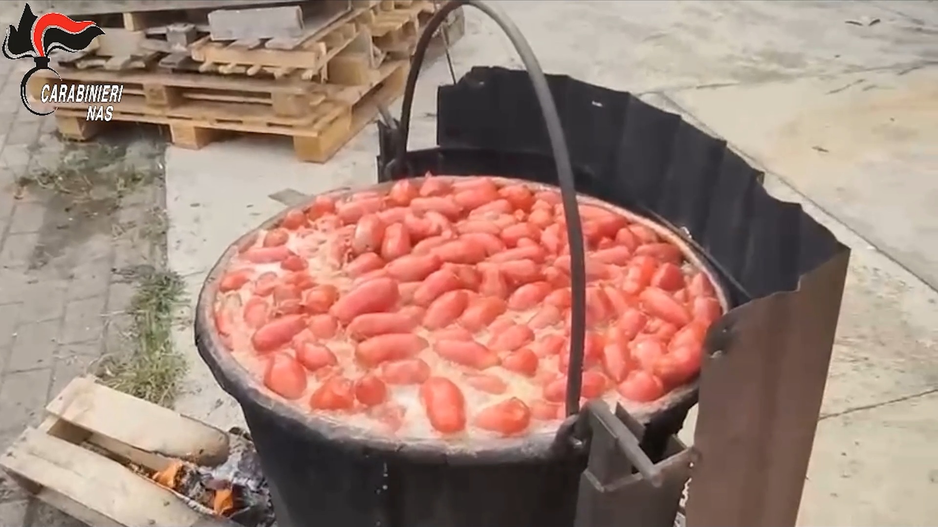bologna conserve e succhi di frutta a rischio botulino maxi sequestro in un8217azienda agricola 8211 video
