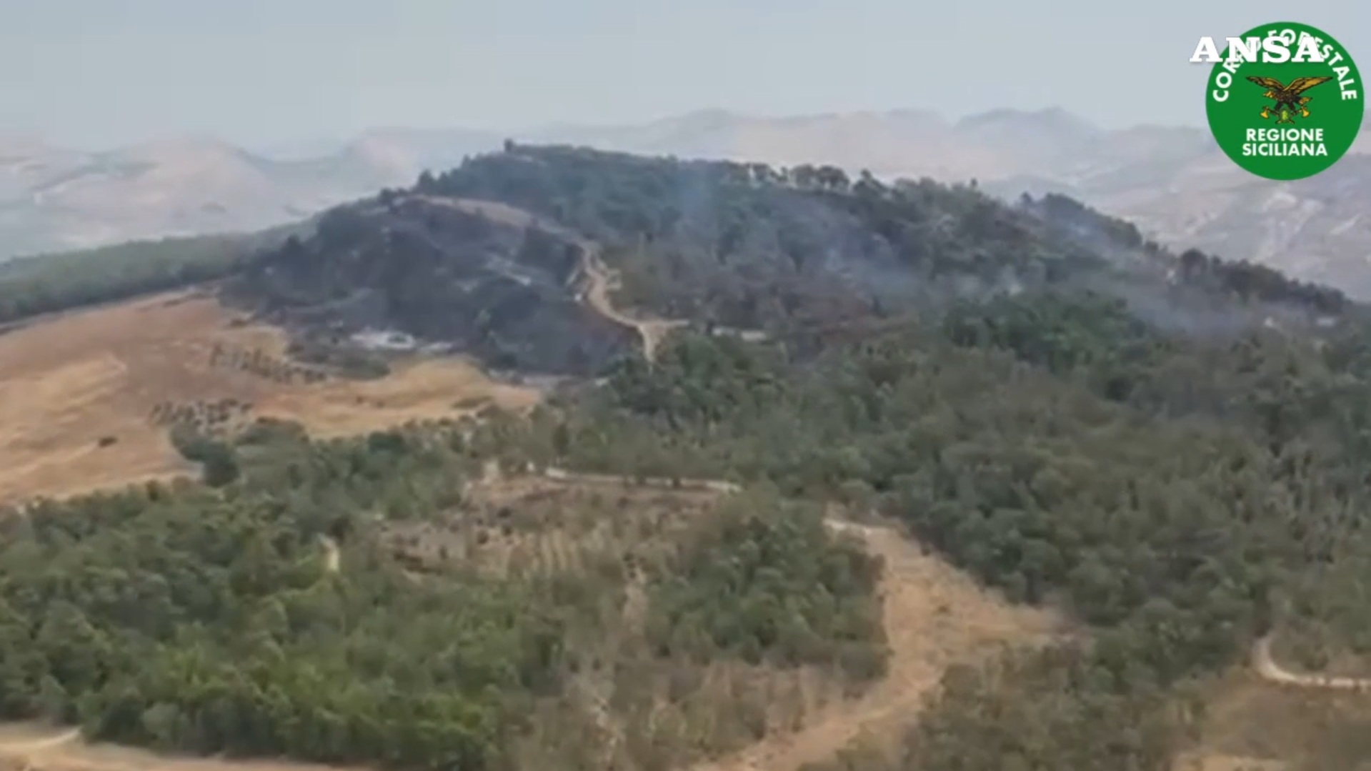 Agrigento, incendio sul Monte Sara: bruciati mille ettari di bosco. Le immagini dall’elicottero Agrigento, incendio sul Monte Sara: bruciati mille ettari di bosco. Le immagini dall’elicottero