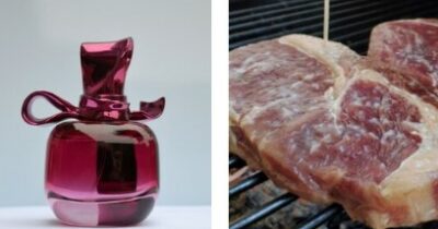 Copertina di Annusare il cibo può ‘aiutare’ a dimagrire? Il ‘boom’ dei profumi che odorano di alimenti (anche spazzatura) e come stanno davvero le cose