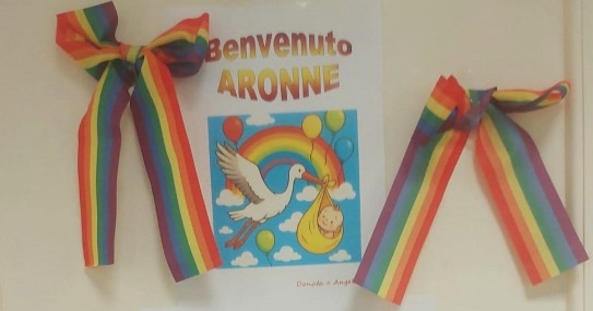 Fiocco arcobaleno per il figlio dell’assessora dem di Padova. Destra all’attacco: “Ideologia malsana” Fiocco arcobaleno per il figlio dell’assessora dem di Padova. Destra all’attacco: “Ideologia malsana”