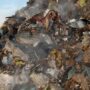 Copertina di Sorpresa a Roma: la mega-discarica con l’inceneritore