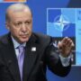 Copertina di L’obiettivo di Erdogan: controllare le forze armate siriane e i guerriglieri curdi per sedare Israele
