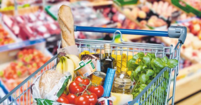 Carrello spesa, ancora su i prezzi ad agosto: +3,5%