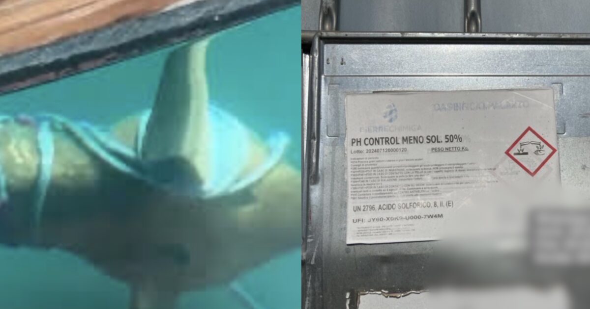 corde attorno alle eliche acido al posto dell8217acqua e danni ai motori tutti i tentativi di sabotaggio delle navi in partenza per gaza
