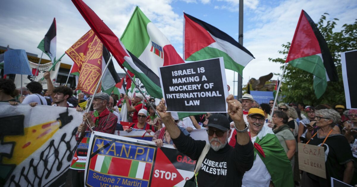 Corteo pro Palestina a Venezia, 5mila persone al Lido: “Stop a genocidio e complicità internazionali” Corteo pro Palestina a Venezia, 5mila persone al Lido: “Stop a genocidio e complicità internazionali”