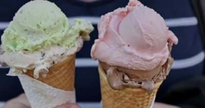 Copertina di Nonno chiama la polizia per denunciare che i gelati delle nipotine contengono droga, ma ce l’ha messa lui: arrestato