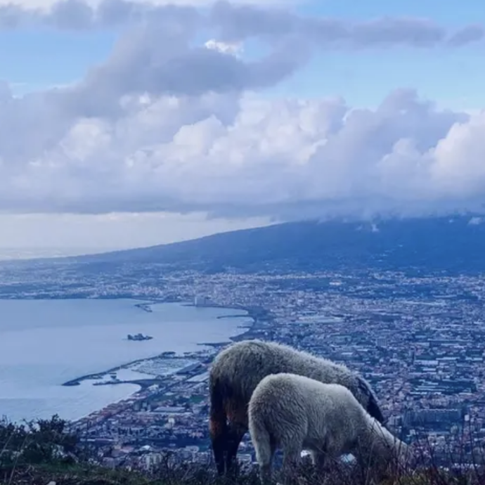Sotto le nuvole, collage buffo che attira e respinge. Il ritorno del Leone d’Oro, Gianfranco Rosi, con un documentario tra Pompei e i campi Flegrei