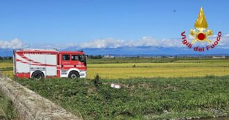 Copertina di Incidente aereo nel Vercellese, ultraleggero precipita e prende fuoco: morti il pilota e la figlia