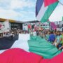 Copertina di  5 mila persone e tanti artisti per i palestinesi