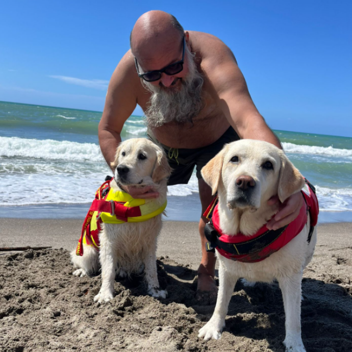 “Un salvataggio eroico”: turista rischia di annegare trascinato dalla corrente, i cani Panna e Maia si tuffano e gli salvano la vita