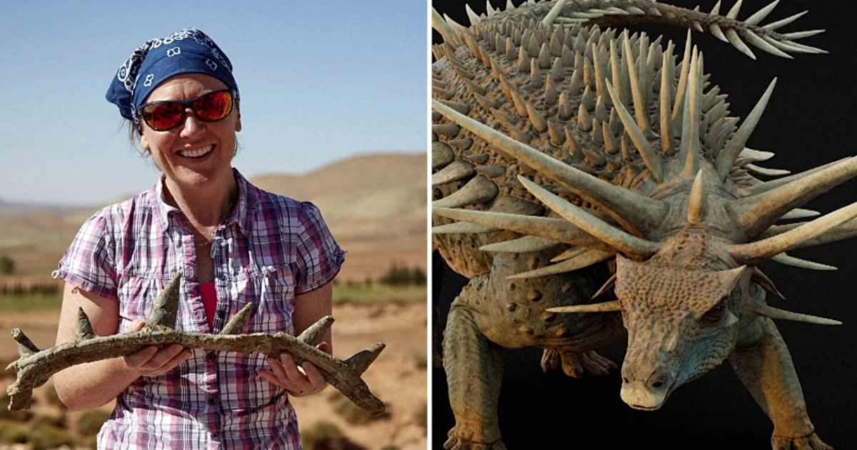 Scoperto un fossile di “dinosauro punk”: “Riscrive la storia dell’evoluzione”. Ecco cos’è lo Spicomellus